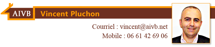 Vincent Pluchon – Agence Immobilière AIVB de Bussy Saint Georges